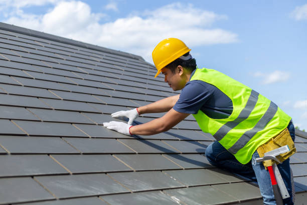 Best Roof Gutter Cleaning  in Venice, IL