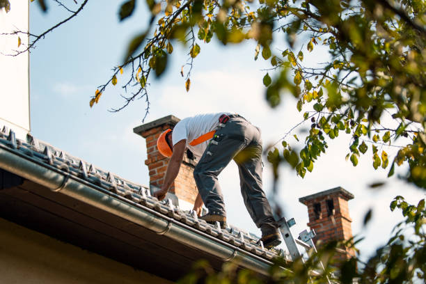 Best Metal Roofing Contractor  in Venice, IL