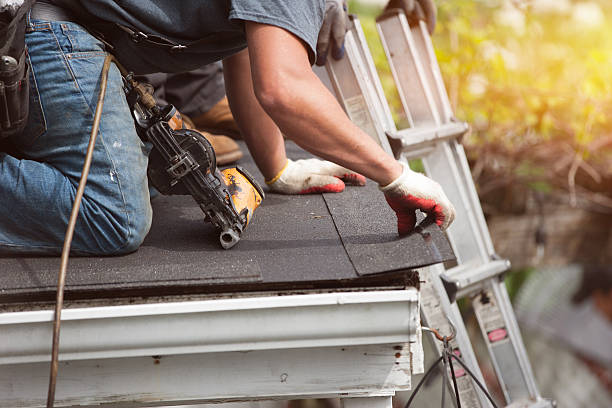 Roof Gutter Cleaning in Venice, IL